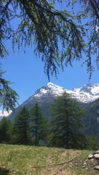 Апартаменты Haus Valaisia - Randa Bei Zermatt Экстерьер фото